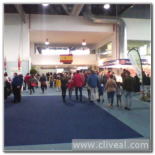 nuestros dálmatas en Badajoz