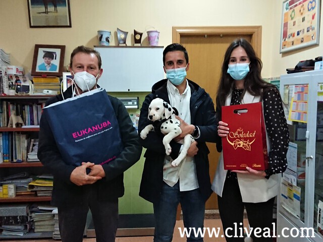 cachorro dalmata madrid 2021