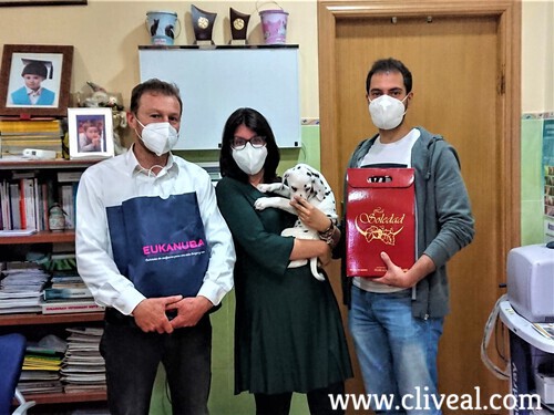 cachorro-dalmata-murcia-1