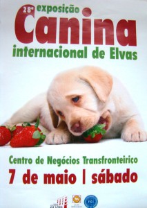 cartel-exposicion-canina-elvas-2016
