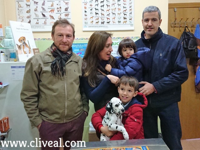 dalmata cachorro-cáceres