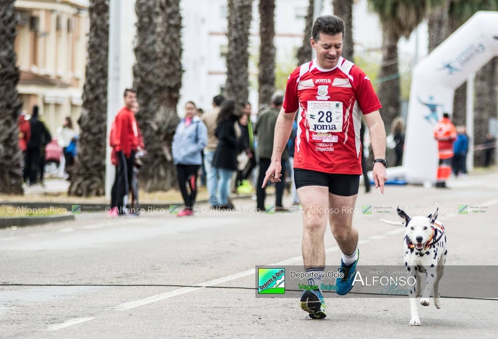 dalmata corriendo junto dueño