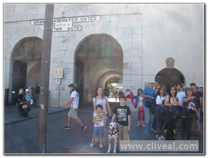 dalmata en la puerta water gate de gibraltar