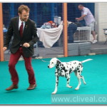 dalmata-nala-en-movimiento