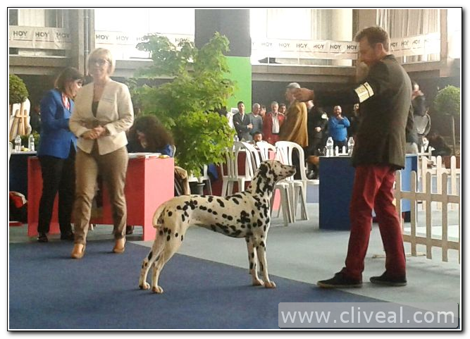 Campeona Internacional Penélope de Cliveal