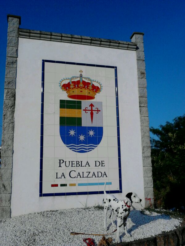 dalmata puebla de la calzada