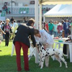 Tiber siendo examinado por la jueza