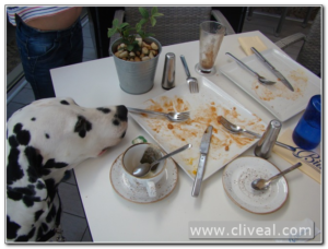 fin desayuno builder breakfast