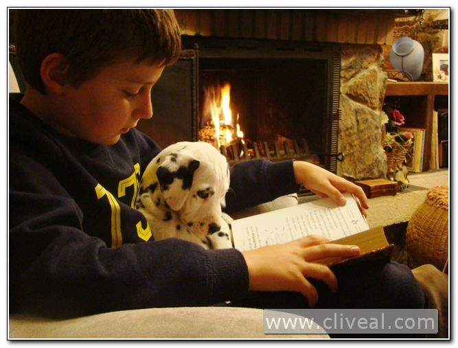 niño leyendo con dálmata en brazos