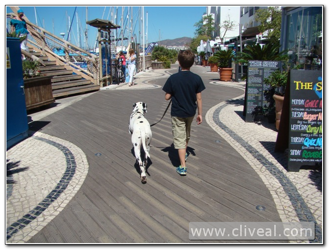 niño paseando dálmata