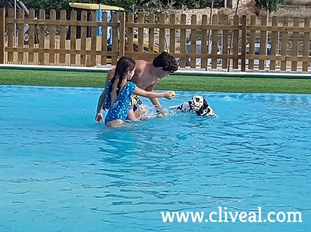 perro bañandose con ninos
