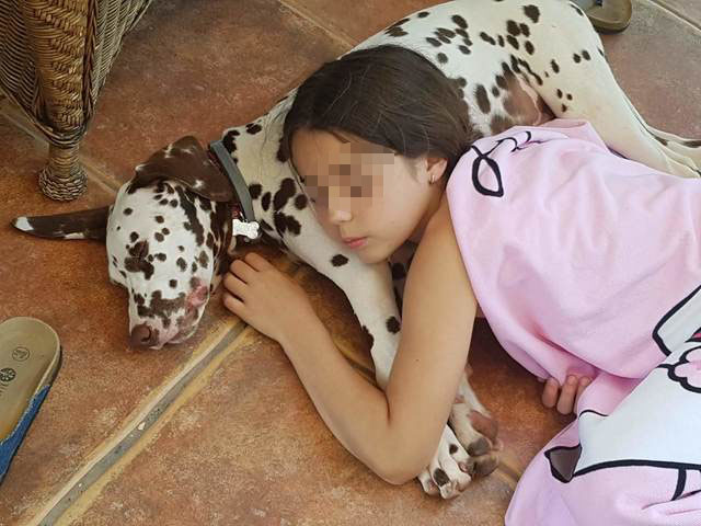 perro y nino durmiendo