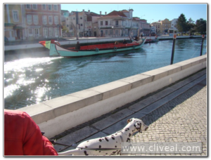 por aveiro con dálmatas