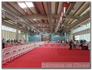 diferentes rings de la exposición canina de elvas