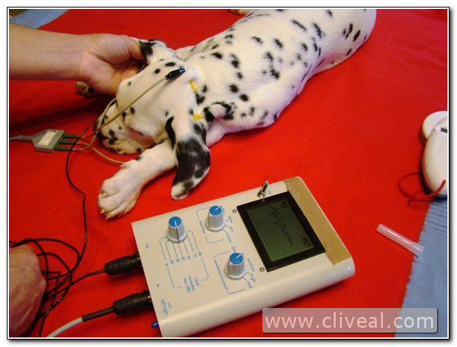 test de baer en cliveal